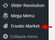 Envato Market Plugin options
